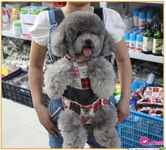 Mochila porta mascotas.
