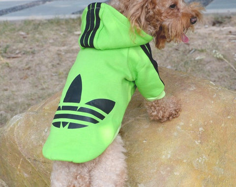 Sudadera para perro de gran calidad en 5 colores y 4 tallas a elegir.