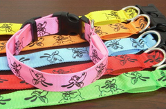 Collar led luminoso de gran calidad.