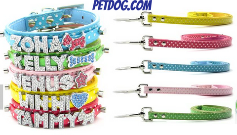 Collar de perro personalizado con el nombre hasta 6 Letras y 1 Figura.